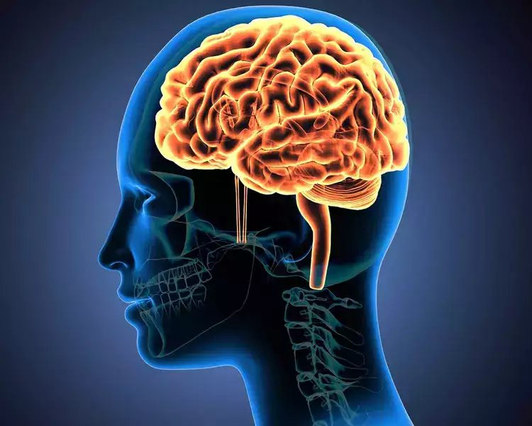 Stem Cell Therapy for Multiple Sclerosis