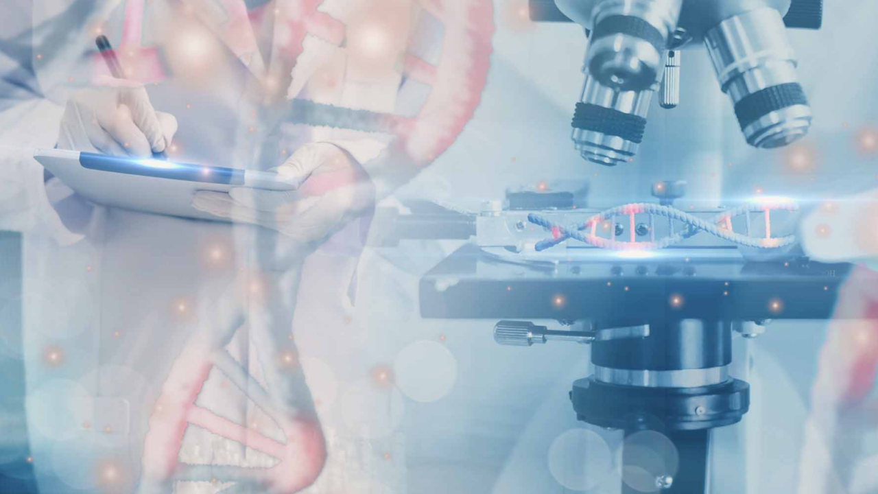 What Are Natural Killer (NK) Cells?
